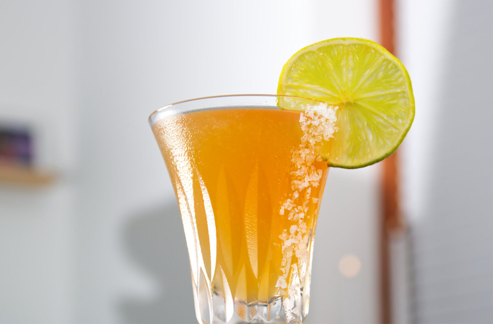 Gin Margarita Cocktail